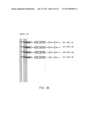 Liquid Crystal Display Device and Method of Driving the Same diagram and image