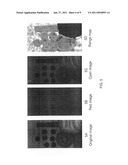 Ranging apparatus using split complementary color filters diagram and image