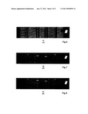 Device for Evaluating the Surface of a Tire diagram and image