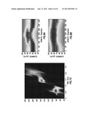 Acoustic Anisotropy and Imaging by Means of High Resolution Azimuthal Sampling diagram and image