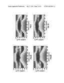 Acoustic Anisotropy and Imaging by Means of High Resolution Azimuthal Sampling diagram and image