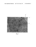 THREE-DIMENSIONAL AUTHENTICATION OF MIRCOPARTICLE MARK diagram and image