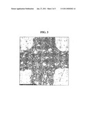 SORBENT BODIES COMPRISING ACTIVATED CARBON, PROCESSES FOR MAKING THEM, AND THEIR USE diagram and image