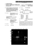 NOVEL MYCOVIRUS, ATTENUATED STRAIN OF PHYTOPATHOGENIC FUNGUS, PLANT DISEASE CONTROLLING AGENT, METHOD OF PRODUCING MYCOVIRUS, METHOD OF ATTENUATING PHYTOPATHOGENIC FUNGUS AND METHOD OF CONTROLLING PLANT DISEASE diagram and image