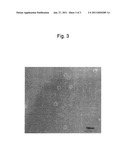 NOVEL MYCOVIRUS, ATTENUATED STRAIN OF PHYTOPATHOGENIC FUNGUS, PLANT DISEASE CONTROLLING AGENT, METHOD OF PRODUCING MYCOVIRUS, METHOD OF ATTENUATING PHYTOPATHOGENIC FUNGUS AND METHOD OF CONTROLLING PLANT DISEASE diagram and image