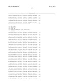 NOVEL MYCOVIRUS, ATTENUATED STRAIN OF PHYTOPATHOGENIC FUNGUS, PLANT DISEASE CONTROLLING AGENT, METHOD OF PRODUCING MYCOVIRUS, METHOD OF ATTENUATING PHYTOPATHOGENIC FUNGUS AND METHOD OF CONTROLLING PLANT DISEASE diagram and image