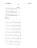 NOVEL MYCOVIRUS, ATTENUATED STRAIN OF PHYTOPATHOGENIC FUNGUS, PLANT DISEASE CONTROLLING AGENT, METHOD OF PRODUCING MYCOVIRUS, METHOD OF ATTENUATING PHYTOPATHOGENIC FUNGUS AND METHOD OF CONTROLLING PLANT DISEASE diagram and image