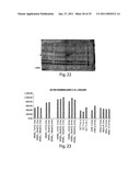 METHODS FOR TREATMENT OF METABOLIC DISORDERS USING EPIMETABOLIC SHIFTERS, MULTIDIMENSIONAL INTRACELLULAR MOLECULES, OR ENVIRONMENTAL INFLUENCERS diagram and image