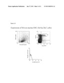 IDENTIFYING HAEMATOPOIETIC STEM CELLS BASED ON CELL SURFACE MARKERS diagram and image