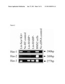 IDENTIFYING HAEMATOPOIETIC STEM CELLS BASED ON CELL SURFACE MARKERS diagram and image