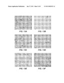 CRYSTALLIZATION OF ANTI-CD20 ANTIBODIES diagram and image