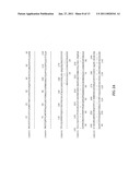 NOVEL MULTIDRUG RESISTANCE-ASSOCIATED POLYPEPTIDE diagram and image