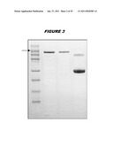 COMBINATIONS OF PNEUMOCOCCAL RrgB CLADES diagram and image