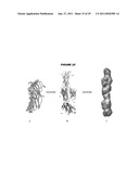 COMBINATIONS OF PNEUMOCOCCAL RrgB CLADES diagram and image