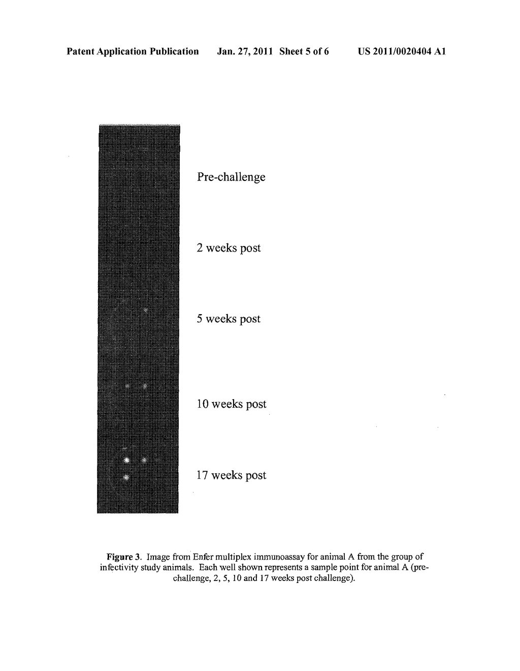 DIAGNOSTIC METHOD AND KIT - diagram, schematic, and image 06