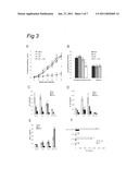 VACCINE COMPRISING A RIBOSOMAL PROTEIN EXTRACT (RPE) AND OPTIONALLY A TH1-PROMOTING ADJUVANT diagram and image