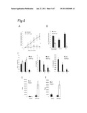 VACCINE COMPRISING A RIBOSOMAL PROTEIN EXTRACT (RPE) AND OPTIONALLY A TH1-PROMOTING ADJUVANT diagram and image