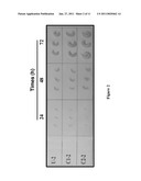 NEW USE OF HISTONE DEACETYLASE INHIBITORS IN CHANGING MRJP3 PROTEIN IN ROYAL JELLY diagram and image