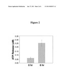 ERYTHROCYTE ATP-RELEASE MODULATORS diagram and image