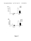 METHOD FOR TREATING NEURAL INJURIES diagram and image