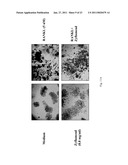 METHODS FOR MODULATING EICOSANOID METABOLISM diagram and image