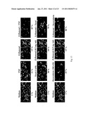 METHODS FOR MODULATING EICOSANOID METABOLISM diagram and image