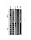 METHODS FOR MODULATING EICOSANOID METABOLISM diagram and image