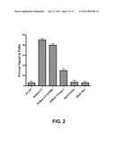 RED FLUORESCENT PROTEINS WITH ENHANCED BACTERIAL EXPRESSION, INCREASED BRIGHTNESS AND REDUCED AGGREGATION diagram and image