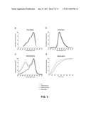 RED FLUORESCENT PROTEINS WITH ENHANCED BACTERIAL EXPRESSION, INCREASED BRIGHTNESS AND REDUCED AGGREGATION diagram and image