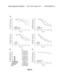 RED FLUORESCENT PROTEINS WITH ENHANCED BACTERIAL EXPRESSION, INCREASED BRIGHTNESS AND REDUCED AGGREGATION diagram and image