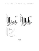 RED FLUORESCENT PROTEINS WITH ENHANCED BACTERIAL EXPRESSION, INCREASED BRIGHTNESS AND REDUCED AGGREGATION diagram and image