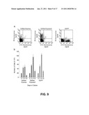 RED FLUORESCENT PROTEINS WITH ENHANCED BACTERIAL EXPRESSION, INCREASED BRIGHTNESS AND REDUCED AGGREGATION diagram and image