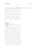 RED FLUORESCENT PROTEINS WITH ENHANCED BACTERIAL EXPRESSION, INCREASED BRIGHTNESS AND REDUCED AGGREGATION diagram and image