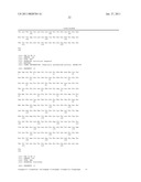 RED FLUORESCENT PROTEINS WITH ENHANCED BACTERIAL EXPRESSION, INCREASED BRIGHTNESS AND REDUCED AGGREGATION diagram and image