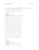 RED FLUORESCENT PROTEINS WITH ENHANCED BACTERIAL EXPRESSION, INCREASED BRIGHTNESS AND REDUCED AGGREGATION diagram and image