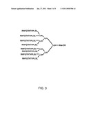 PEPTIDE DENDRIMERS: AFFINITY REAGENTS FOR BINDING NOROVIRUSES diagram and image