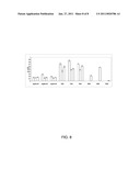 PEPTIDE DENDRIMERS: AFFINITY REAGENTS FOR BINDING NOROVIRUSES diagram and image