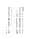 USE OF REGULATORY SEQUENCES FOR SPECIFIC, TRANSIENT EXPRESSION IN NEURONAL DETERMINED CELLS diagram and image