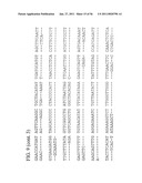 USE OF REGULATORY SEQUENCES FOR SPECIFIC, TRANSIENT EXPRESSION IN NEURONAL DETERMINED CELLS diagram and image