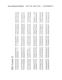 USE OF REGULATORY SEQUENCES FOR SPECIFIC, TRANSIENT EXPRESSION IN NEURONAL DETERMINED CELLS diagram and image