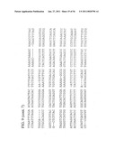 USE OF REGULATORY SEQUENCES FOR SPECIFIC, TRANSIENT EXPRESSION IN NEURONAL DETERMINED CELLS diagram and image