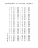 USE OF REGULATORY SEQUENCES FOR SPECIFIC, TRANSIENT EXPRESSION IN NEURONAL DETERMINED CELLS diagram and image