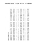 USE OF REGULATORY SEQUENCES FOR SPECIFIC, TRANSIENT EXPRESSION IN NEURONAL DETERMINED CELLS diagram and image