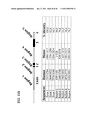 USE OF REGULATORY SEQUENCES FOR SPECIFIC, TRANSIENT EXPRESSION IN NEURONAL DETERMINED CELLS diagram and image