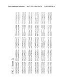 USE OF REGULATORY SEQUENCES FOR SPECIFIC, TRANSIENT EXPRESSION IN NEURONAL DETERMINED CELLS diagram and image