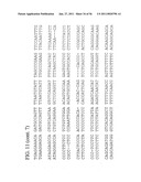 USE OF REGULATORY SEQUENCES FOR SPECIFIC, TRANSIENT EXPRESSION IN NEURONAL DETERMINED CELLS diagram and image