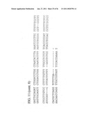 USE OF REGULATORY SEQUENCES FOR SPECIFIC, TRANSIENT EXPRESSION IN NEURONAL DETERMINED CELLS diagram and image