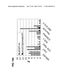 USE OF REGULATORY SEQUENCES FOR SPECIFIC, TRANSIENT EXPRESSION IN NEURONAL DETERMINED CELLS diagram and image