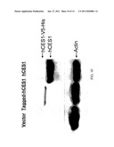 Carboxylesterase-1 Polymorphisms and Methods of Use Therefor diagram and image