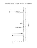 Carboxylesterase-1 Polymorphisms and Methods of Use Therefor diagram and image